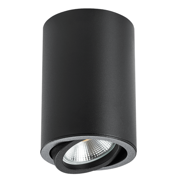 Потолочный светильник Lightstar Rullo 214407