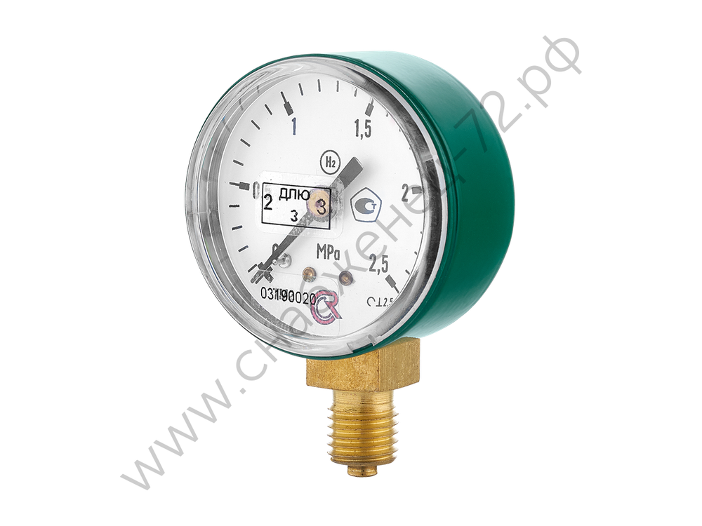 ТМ—210Р.00(0-2.5МРа) M12x1.5.2.5 N2