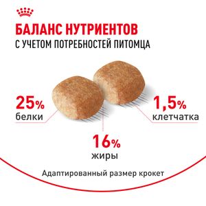 Сухой корм Royal Canin Miniature Schnauzer Adult для взрослых собак породы Миниатюрный Шнауцер от 10 месяцев