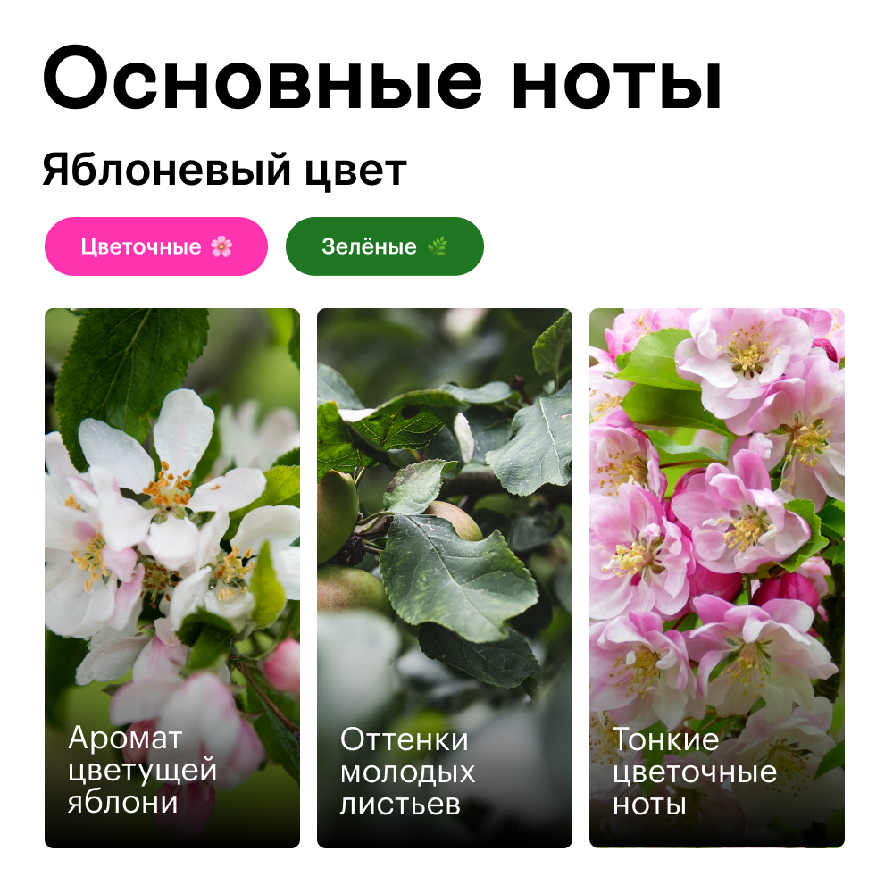 Яблоневый цвет