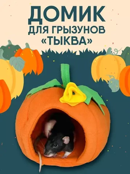 Домик для грызунов крысы