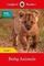 BBC Earth: Baby Animals - Ladybird Readers Level 1