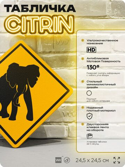 Табличка прикольная "Осторожно, слоны" на дверь и стену, информационная и предупреждающая, декоративный знак, 24,5х24,5 см, пластиковая, Айдентика Технолоджи