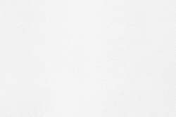 Велюр Prince (Принц) 01