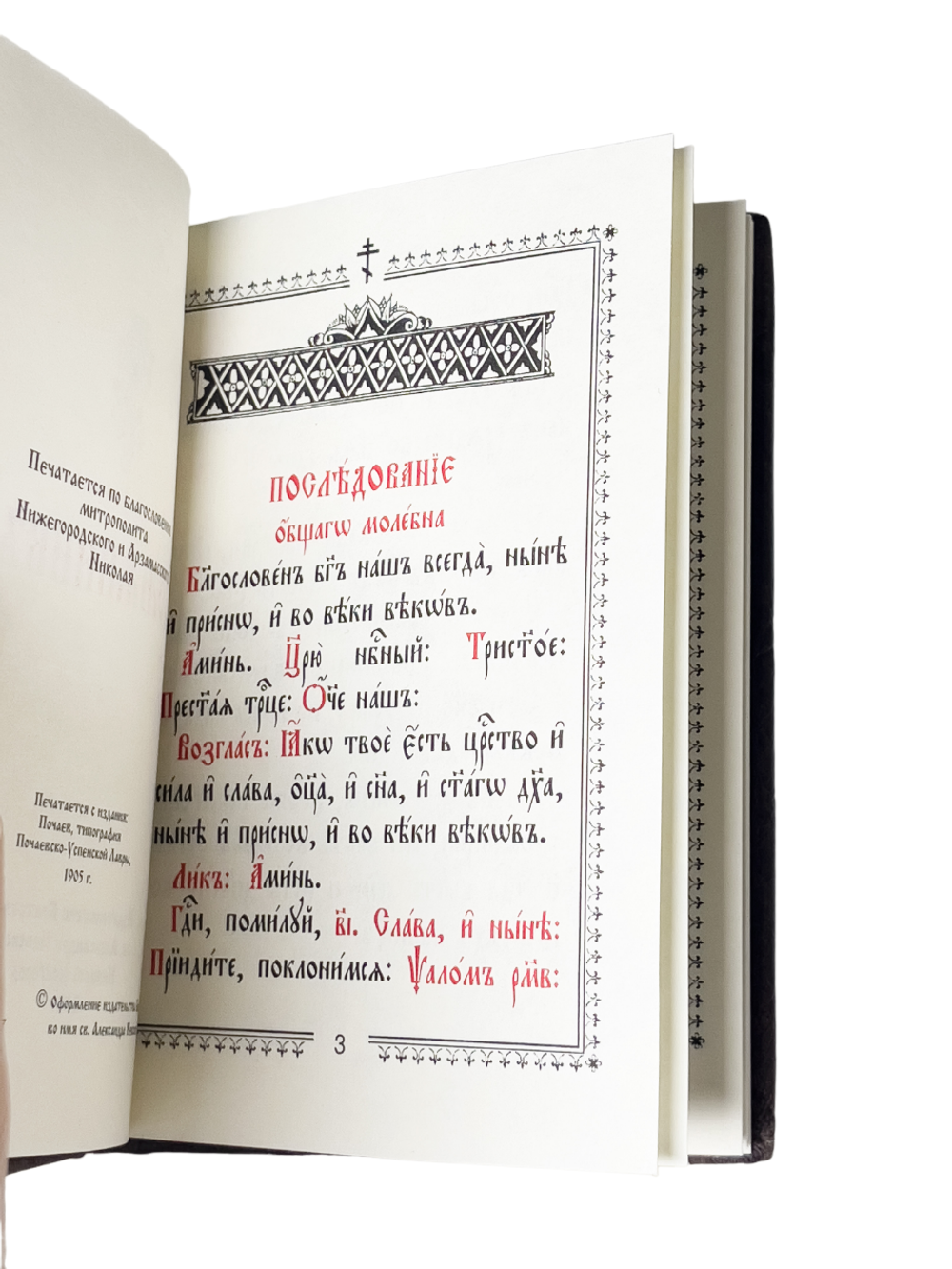 IMG_9055-PhotoRoom.png-PhotoRoom