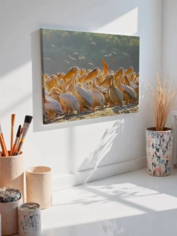 Картина на стену 40 X 50 Пеликаны