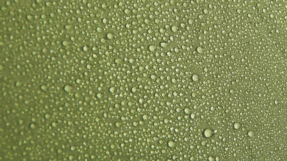 Outwell Nevada XLP [110219]