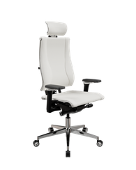 Y 4DF B2-17D - Infinity /Kc09/Nc09/D15P/H13mL-3D(M26.B35.G25.W04)