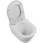 Унитаз BelBagno Flay-Tor BB053CH-TOR-FC подвесной без сиденья