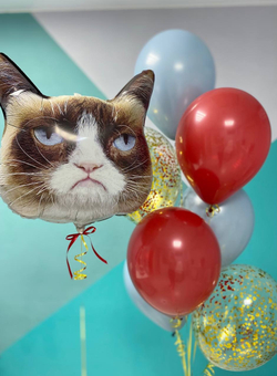 Воздушные шары Кот Grumpy Cat №1631