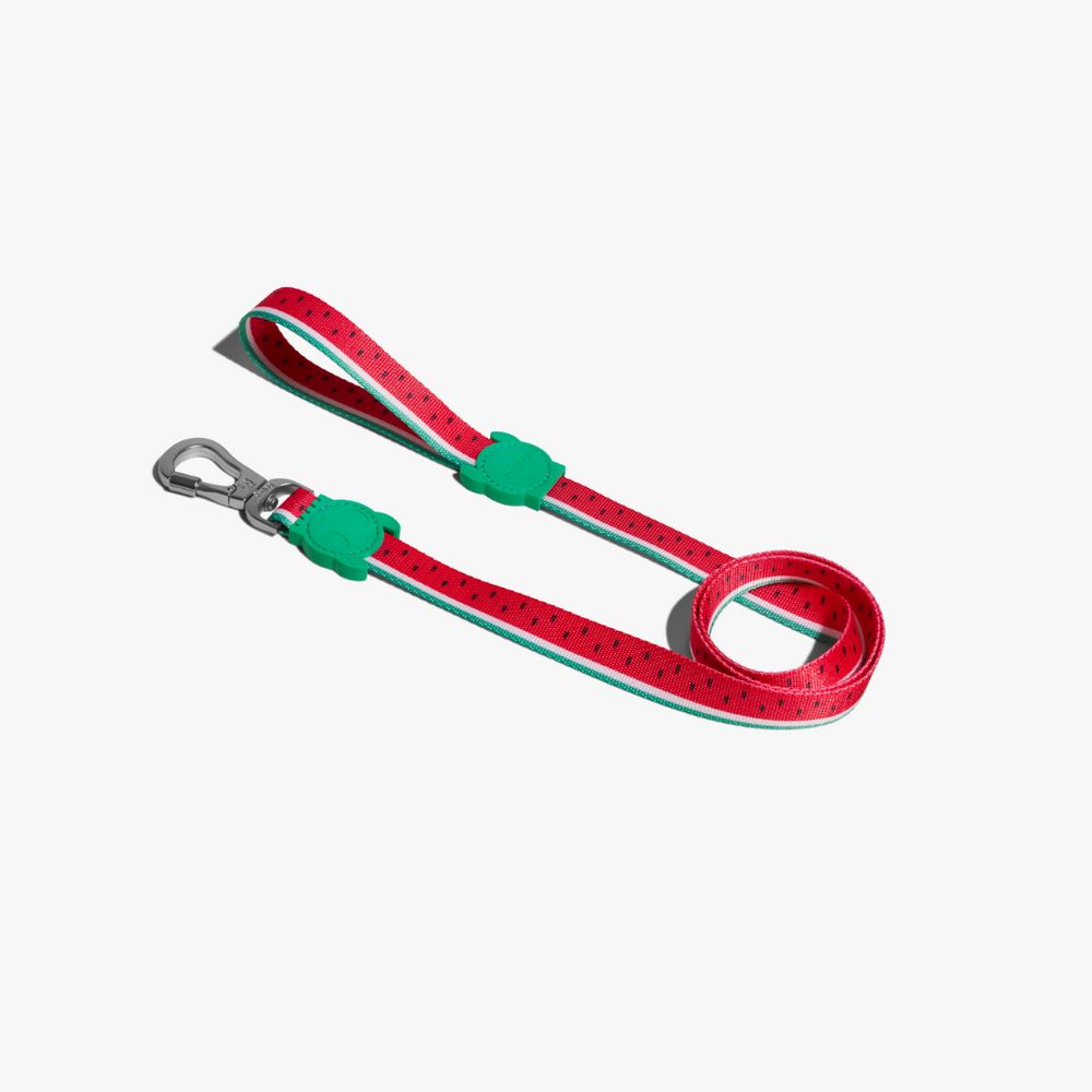 Поводок LOLA 120 см Zee.Dog