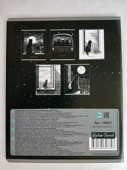 Тетради 48 листа А5+. "Не просто коты...", общая, клетка. Формат А5+ (163*203 мм). Арт.120027. С полями. Комплект 5 шт.