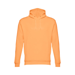 Толстовка PHOENIX Светло-серый  L