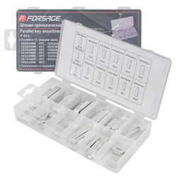 Шпонки призматические, 60пр. Forsage F-821