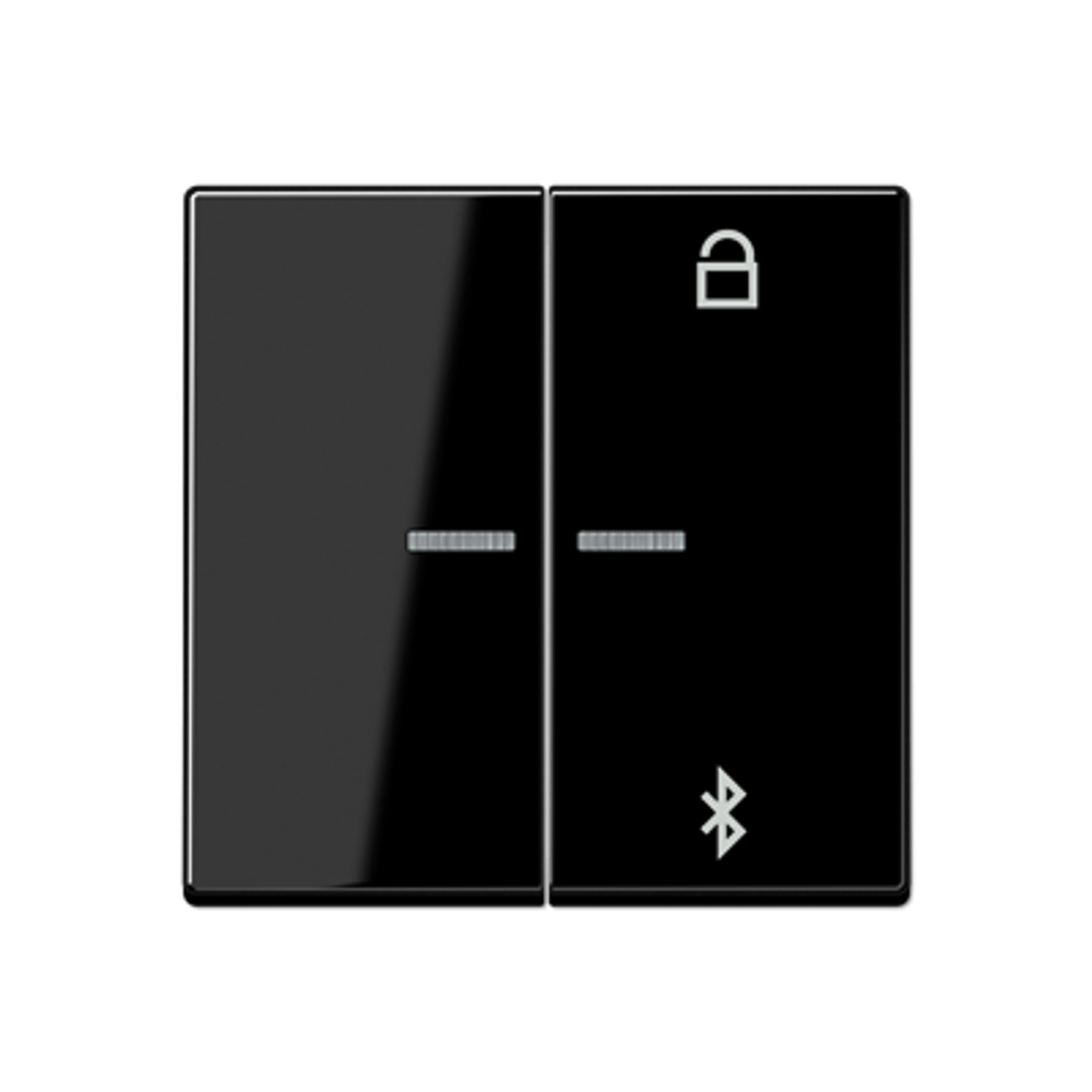 JUNG Таймер универсальный Bluetooth, чёрный, арт.A1751BTSW