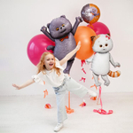 Шар Кот Басик