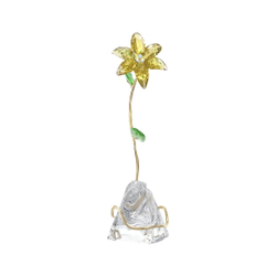 FLORERE:LILY
