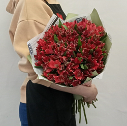 Букет альстромерий Красная заря