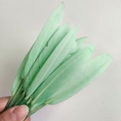 Перья утки мятные 2 сорт 15 шт.