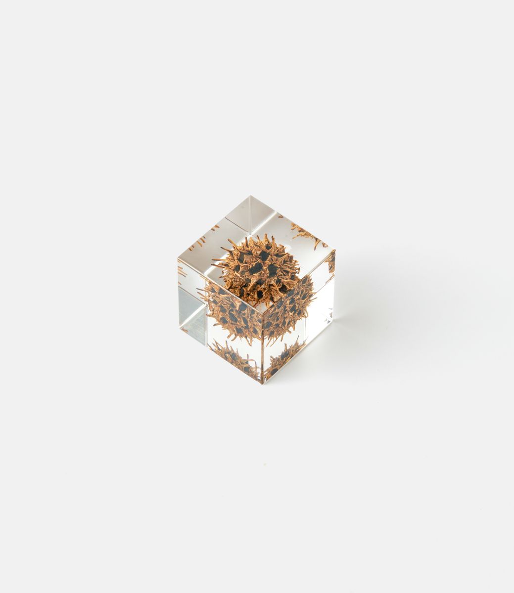 Sola Cube American Sweetgum — куб из акриловой смолы