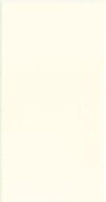 Adex Neri Liso PB Biscuit 7.5x15