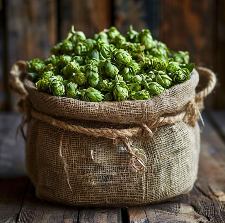 Пивоваренные ингредиенты:  хмель