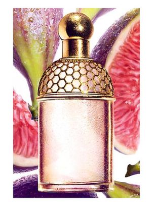 Guerlain Aqua Allegoria Figue - Iris