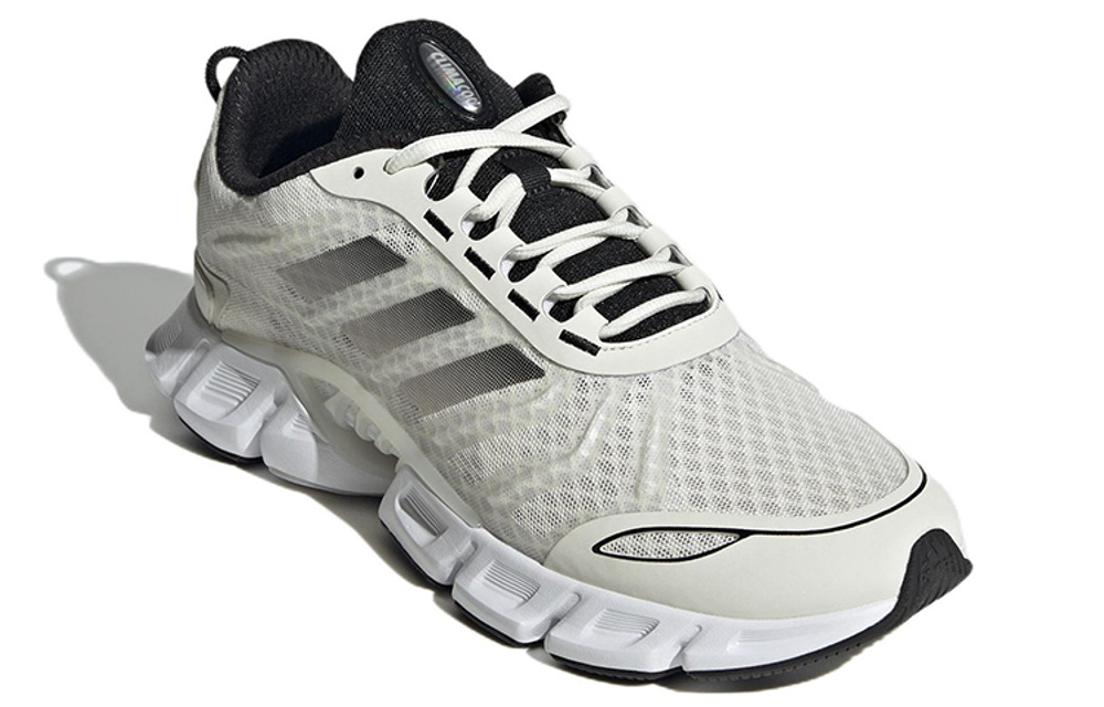 Кроссовки Adidas Climacool