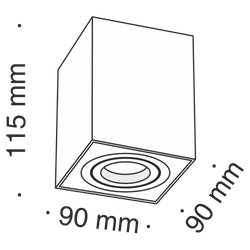 Светильник потолочный Maytoni Alfa C017CL-01S