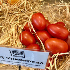Универсал семена томата индетерминантного (Гавриш)