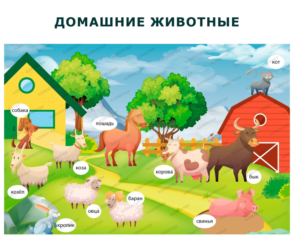 Комплект развивающий Природа: Домашние птицы. Домашние животные. Домашние птенцы 2196