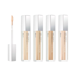 CLIO Kill Cover Founwear Concealer