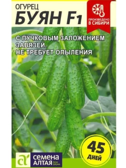 Семена раннеспелых огурцов Буян F1 Самоопыляемый корнишон
