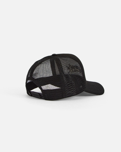 Кепка Anteater Trucker-Black