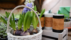 Кружка большая фарфоровая c берестой и с цитатами Чехова. Chekhov forever.