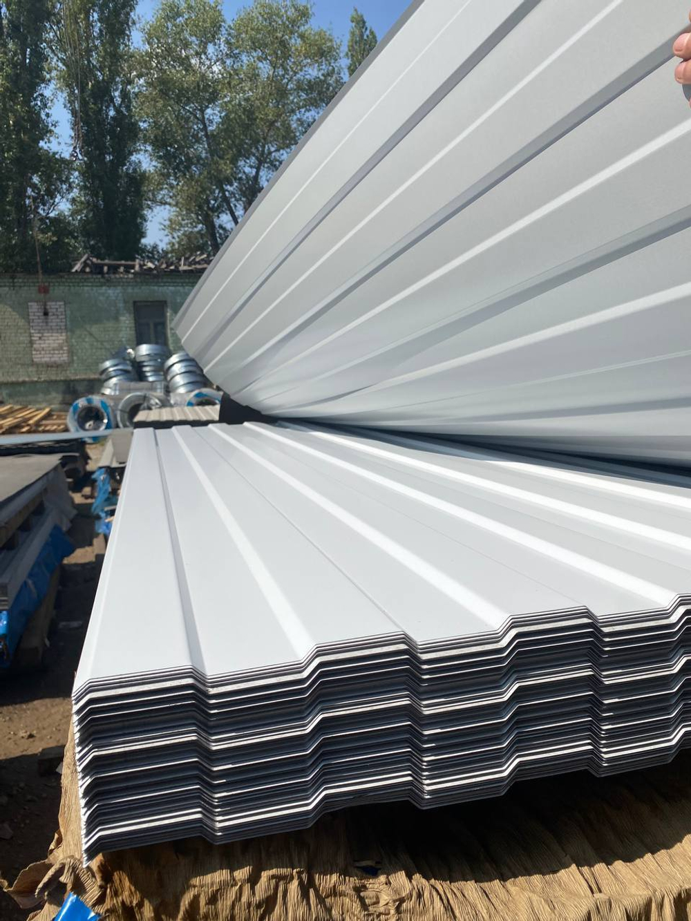 Белый профлист (Ral 9003)