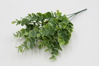 Самшит куст 5 веток 40 см