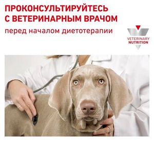 Консервы для собак, Royal Canin MOBILITY MC25 C2P+, при заболеваниях опорно-двигательного аппарата