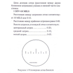 Бинокль БелОМО 7x42