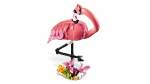 Конструктор LEGO Creator 31170 Дикие животные: Розовый фламинго, 3в1