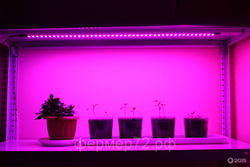 Светильник Navigator NEL-FITO-14Вт-LED 1193мм