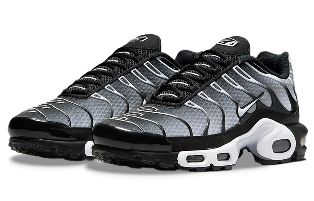 Кроссовки Nike Air Max Plus