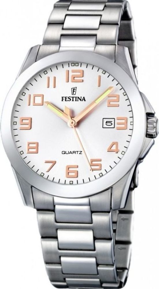 Мужские наручные часы Festina F16376/3