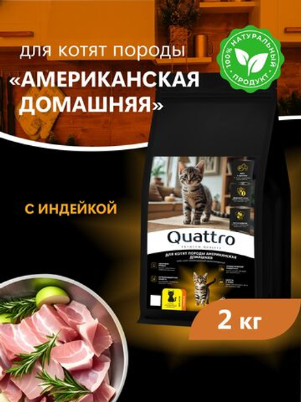 Корм сухой для котят породы Американская домашняя, с индейкой, 2 кг, QUATTRO