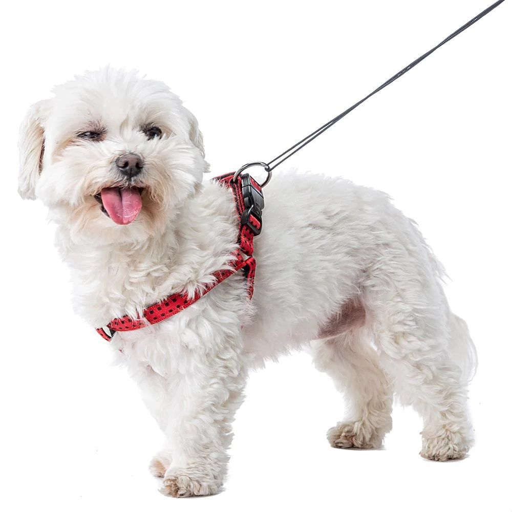 Шлейка CRICKET P SMALL красная