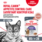 Royal Canin Appetite Control Care Корм консервированный для взрослых кошек соус 85 г