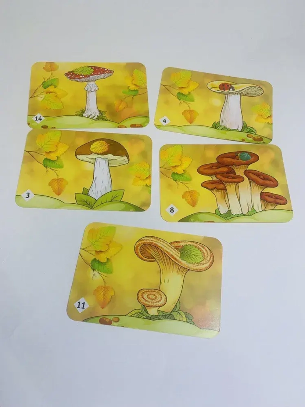 Настольная игра Мемо «Грибы»