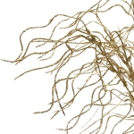 Ветка декоративная «Морозное солнце» 40 см, Золото