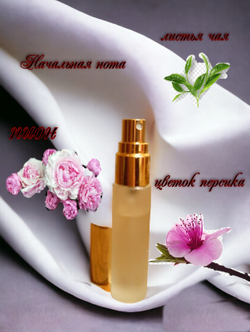 Наливная парфюмерия женская СвеТLана Mr. Newl C&M052-01 10 мл