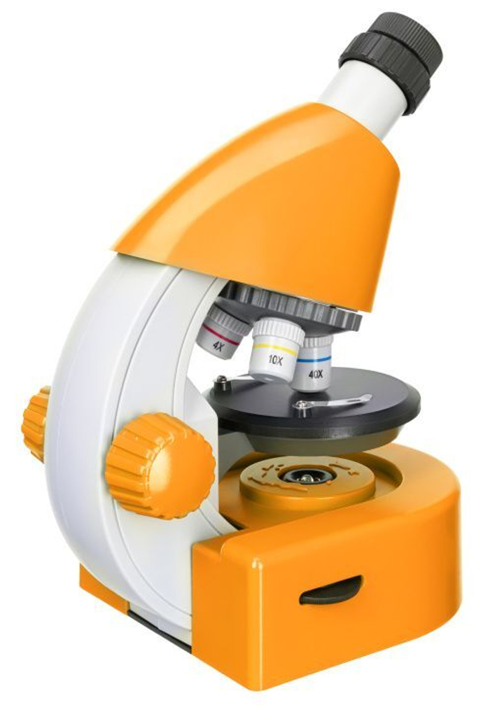 Микроскоп Levenhuk Discovery Micro Solar с книгой